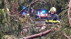 Dobrovolní hasiči ze Železné Rudy se během pondělí nezastavili. Popadané stromy...