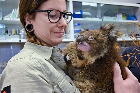 Chovatelm v Healesville Sanctuary pomáhala i jejich kolegyn ze Zoo Praha Kateina Seemannová.