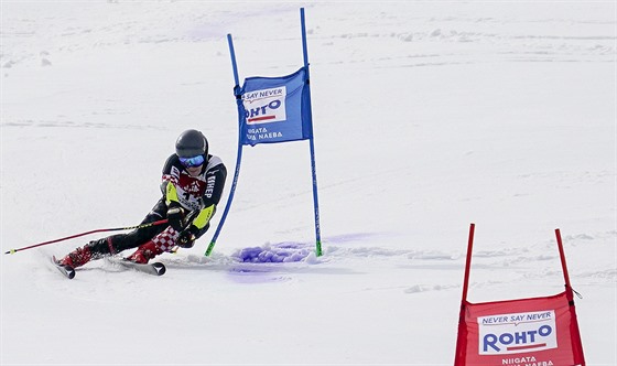 Filip Zubi v obím slalomu v japonském stedisku Naeba.