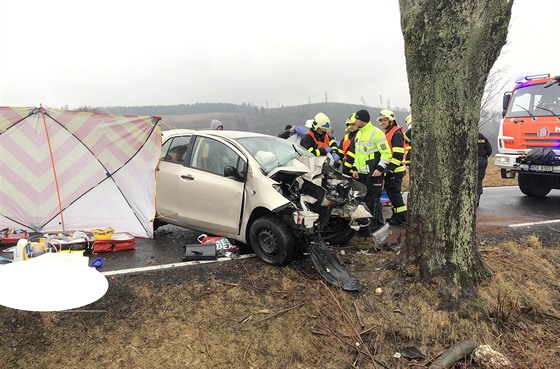 Po nárazu osobního automobilu do stromu u Rýmaova na Bruntálsku v úterý...