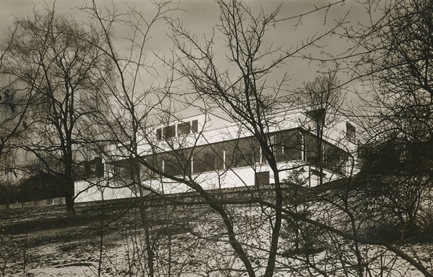Kdy byla v roce 1930 dokonena slavná vila Tugendhat architekta Miese van der...