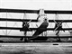 Supermarine P.B.31E Nighthawk