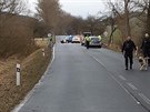 Policisté zadrželi na jižním Plzeňsku muže, který v Plzni nasedl na semaforech...