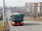 Prodlouen trolejbusov linka od listopadu jezd do kopce smrem na Jrovu....