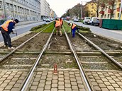 Pípravy na rekonstrukci tramvajové trati v úseku Poliklinika Vysoany ...