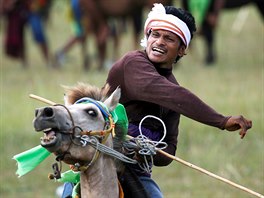 ZA BOHATOU ÚRODU. Jezdec na koni vrhá otp bhem svátku Pasola na indonéském...