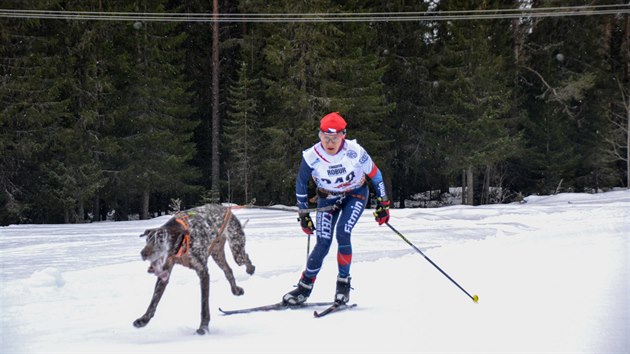 Martina Štěpánková při skijöringu