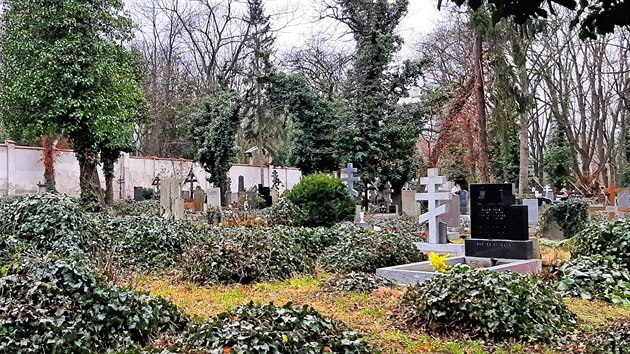 Na Olšanských hřbitovech jsou stovky hrobů legionářů, o většinu z nich se nikdo nestará a hrozí, že zaniknou.