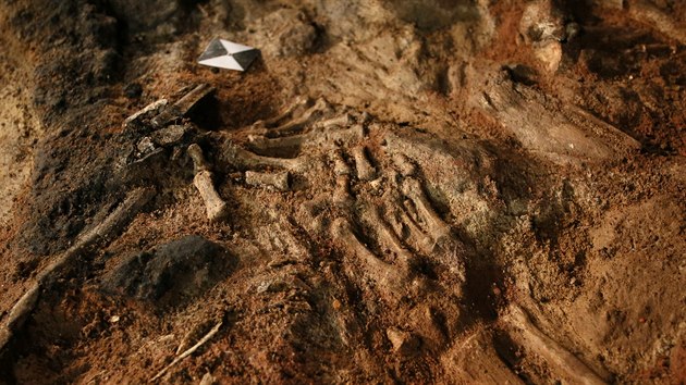Ped pl rokem odkryli archeologov pod jednm ze zmeckch sl tisc let star hradby. Te piel na adu dal uniktn objev. V zkladech nali pozstatky t lid, kte se mon stali obtmi rituln vrady.