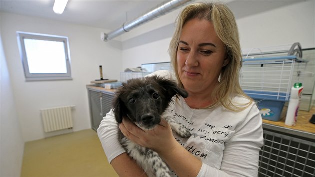 Vedoucí městského útulku v Třebíči Olga Spáčilová ukazuje nejmladšího ze zadržených psů. Tím bylo tehdy dvouměsíční štěně Lucky. Velmi rychle si zvyklo na pozornost lidí a zvládá už i některé základní povely.