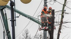 Ve Zlín u trit pokáceli stromy, které u nebyly bezpené.