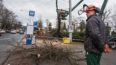 Ve Zlín u trit pokáceli stromy, které u nebyly bezpené.