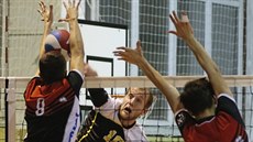 Roman Ja�a z Velkého Mezi�í�í na sme�i