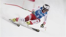 Rakouská lyaka Nicole Schmidhoferová na trati super-G v La Thuile