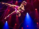 Kanadská spolenost Cirque du Soleil v pedstavení Totem, se kterým vystoupí v...