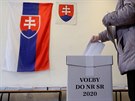 Na Slovensku zaaly parlamentní volby. (29. února 2020)