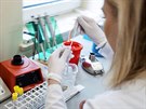Laborantka provádí diagnostický test na koronavirus v polské Poznani. (4....
