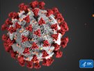 Koronavirus SARS-CoV-2  to ervené jsou práv proteinová chapátka (odborn...
