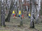 Mezi vzrostl�mi borovicemi se zde ukr�v� zhruba t�icet poh�dkov�ch postav...