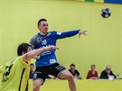 Tim Jenko Bogdani z Plzn u míe v utkání proti Frýdku-Místku.