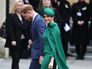 Princ Harry a vévodkyn Meghan pi píchodu do Westminsterského opatství...