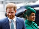 Princ Harry a vévodkyn Meghan pi píchodu do Westminsterského opatství...