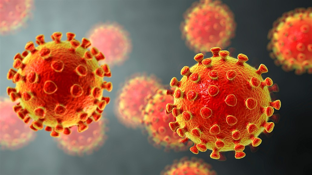 Model nového typu koronaviru SARS-CoV-2