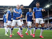 Fotbalist Evertonu se raduj z branky Dominika Calverta-Lewina (pln vpravo)...