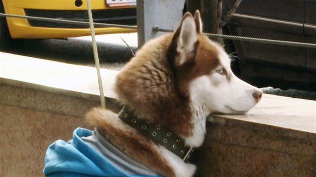 Vypad� opu�t�n�.