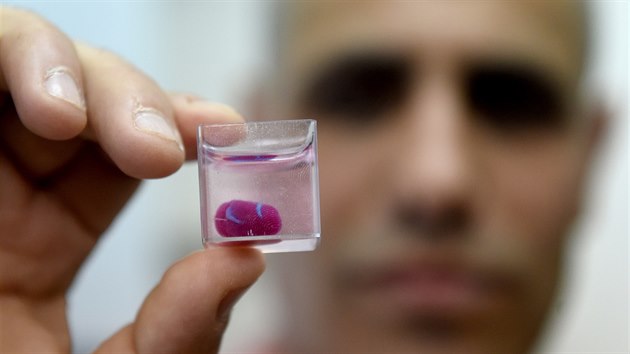 Dal pozoruhodn produkt 3D tisku: Vdci z univerzity v Tel Avivu pedstavili vzorov model kompletnho srdce vytvoenho z kolagenu a dalch biologickch molekul za pomoci 3D tiskrny.
