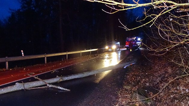 Linkový autobus narazil na silnici mezi Petrůvkou a Luhačovicemi do stromu, který spadl na vozovku.