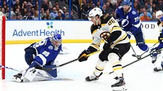 Andrej Vasilevskij v brance Toronta likviduje anci Davida Pastráka z Bostonu.