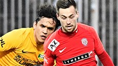 Brn�nský Jakub P�ichystal (vpravo) v utkání proti Sokolovu