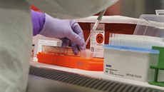 Diagnostický test na koronavirus v havajské nemocnici. (4. bezna 2020)