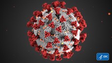 Koronavirus SARS-CoV-2  to ervené jsou práv proteinová chapátka (odborn...