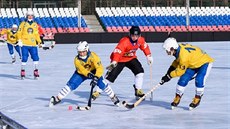 Momentka z utkání �esko - Mongolsko.