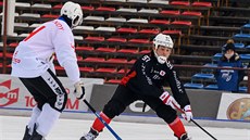 Momentka z utkání �esko - Japonsko.