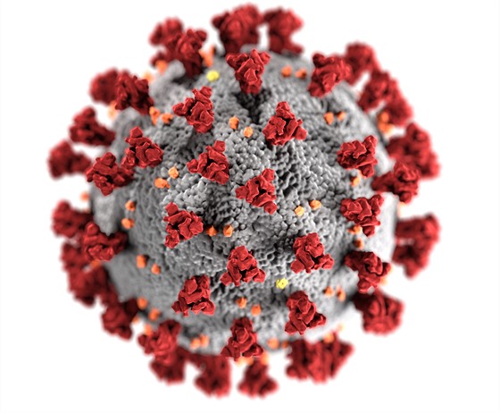 Počítačová rekonstrukce podoby viru SARS-CoV-2 (s nepřirozenými barvami,...