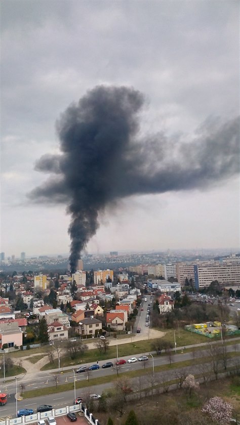 Poár stechy v rekonstrukci