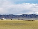 V Mongolsku se pro vlnu chov celkem 27 milion koz a 31 milion ovc.
