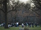 Mladí Němci v berlínském parku. Berlín zakázal veřejná shromáždění nad 50 lidí,...