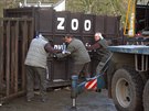 Transport samice nosoroce blho jinho (tuponosho) do Zoo Dvr Krlov z...