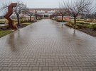 Univerzita Hradec Krlov, arel Na Soutoku (12.3.2020).