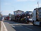 Kolona kamion stoj ped hraninm pechodem v Nchod (17. 3. 2020).
