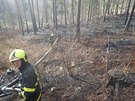 S požárem lesa u obce Hošťálkovy bojovali hasiči šest hodin. Oheň zapálil drát...