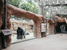 Uzavená ZOO Praha. (17. bezna 2020)