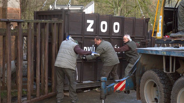 Transport samice nosoroce blho jinho (tuponosho) do Zoo Dvr Krlov z francouzsk zoo Beauval. (12. 3. 2020)