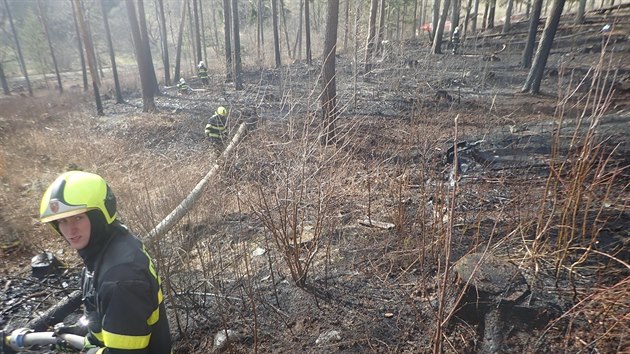 S porem lesa u obce Holkovy bojovali hasii est hodin. Ohe zaplil drt vysokho napt a situaci komplikoval vtr.