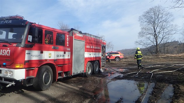 S porem lesa u obce Holkovy bojovali hasii est hodin. Ohe zaplil drt vysokho napt a situaci komplikoval vtr.