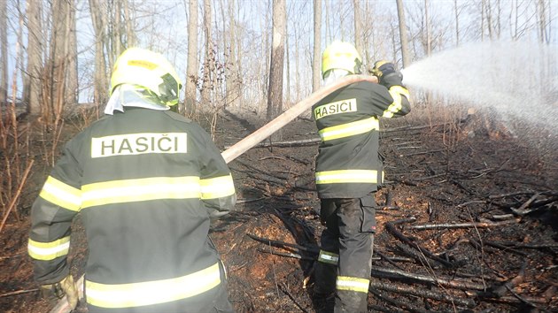 S porem lesa u obce Holkovy bojovali hasii est hodin. Ohe zaplil drt vysokho napt a situaci komplikoval vtr.